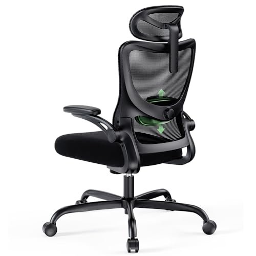 Marsail Ergonomic Office Chair with Headrest Support