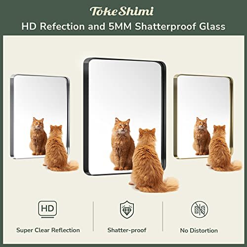 Modern Minimalist Bathroom Vanity Mirror adapté for Any Space